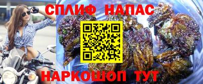 гашик Беслан