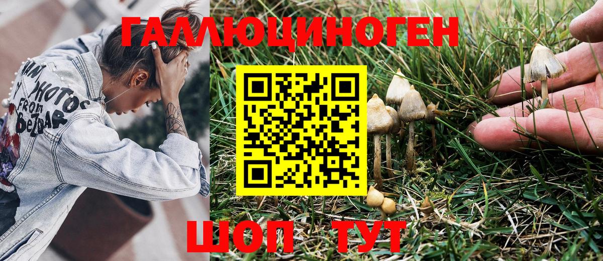 Псилоцибиновые грибы мухоморы  где можно купить   Кимовск  Галлюциногенные грибы Cubensis  Вход с VPN 