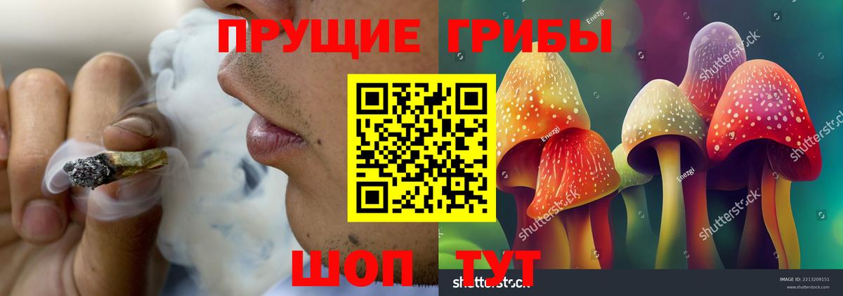 Галлюциногенные грибы Psilocybine cubensis Кимовск